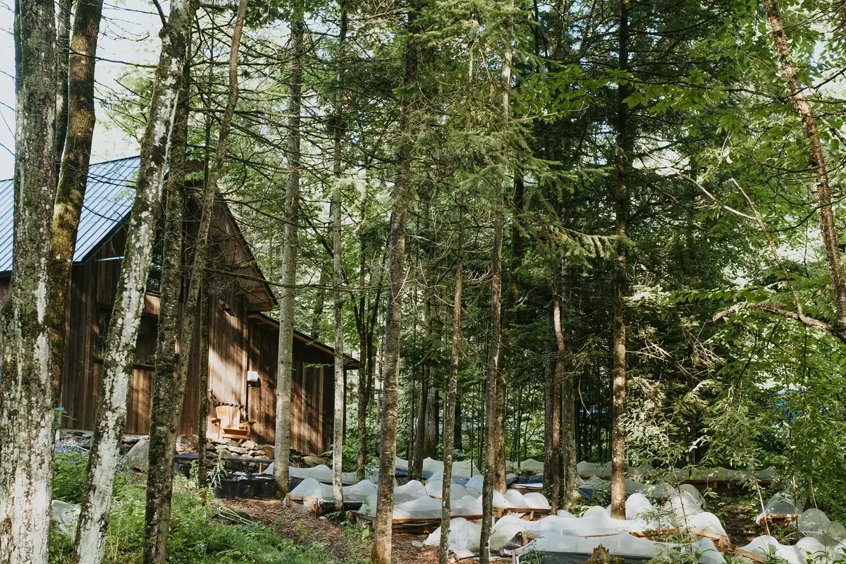 Ferme La Forestière, Melbourne