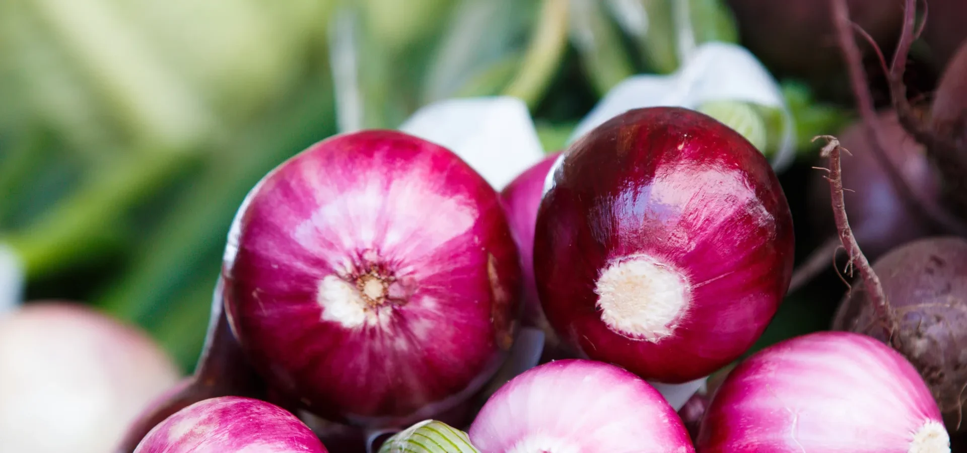 Oignons rouges frais recolte legumes